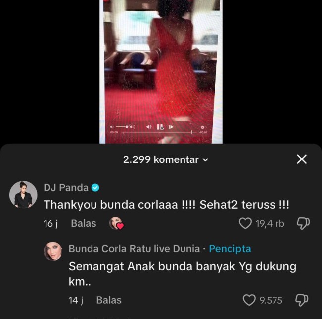 DJ Panda dan Bunda Corla (TikTok)